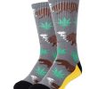 Beary California Socks