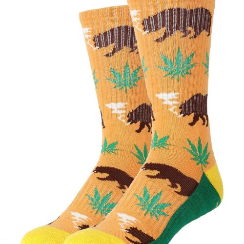 Beary California Socks