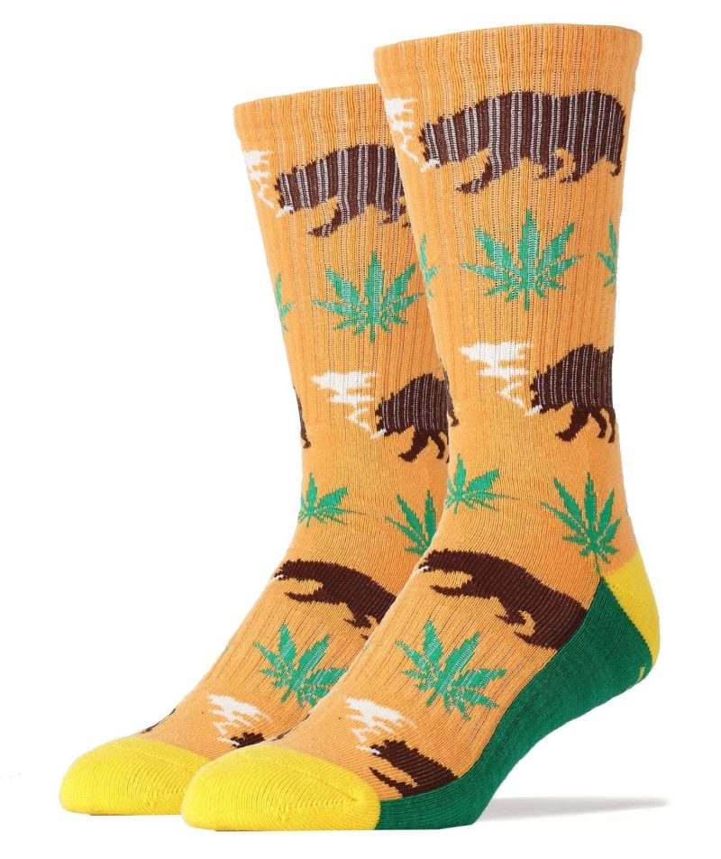 Beary California Socks